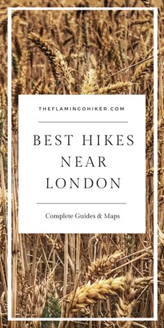 the best hikes near london complete guide and maps