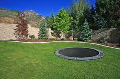 a backyard with a trampoline in the middle