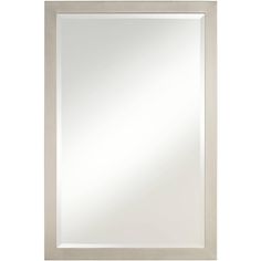 a large white framed mirror on a wall with a light gray frame and silver trim