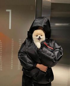 a person holding a small dog in a black jacket and hood over their head while standing next to an elevator