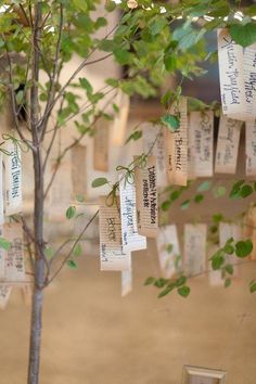 a small tree with lots of cards attached to it's branches and hanging from the ceiling