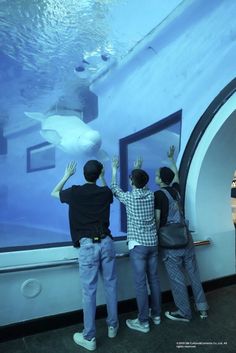 three people standing in front of an aquarium looking at the fish and other animals on display