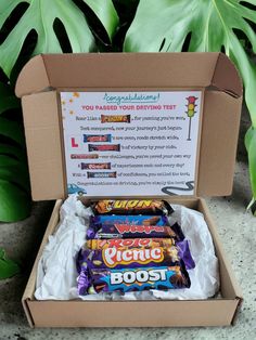 a box filled with lots of candy sitting on top of a cement floor next to green plants