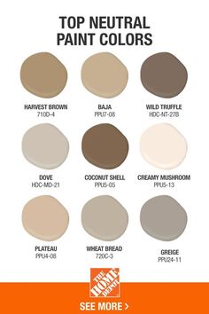 the top neutral paint colors are shown in different shades and sizes, along with an orange background