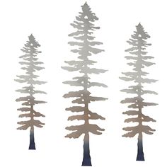 three tall trees are shown in silhouette against a white background