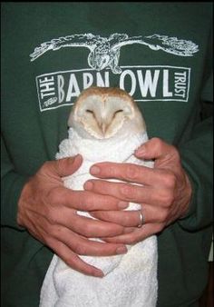 a person holding an owl in their hands