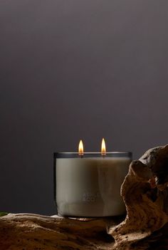 two candles sitting on top of a piece of driftwood next to a tree stump