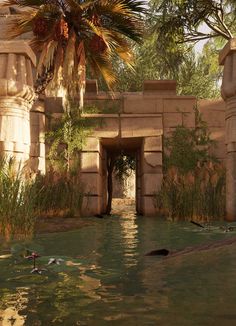 an image of a pond in the middle of a desert area with birds swimming around