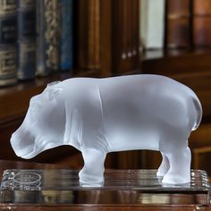 a white rhino figurine sitting on top of a wooden table next to bookshelves