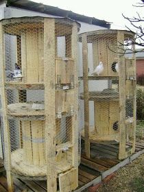 two large wooden bird cages sitting next to each other