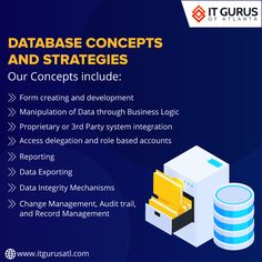 the data management flyer for it gurus