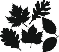 black and white silhouettes of leaves