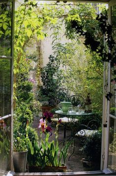 an open door leading into a garden with potted plants and flowers on the table