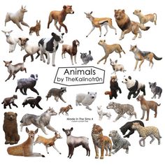 an image of many different types of animals in the same picture, including cats and dogs