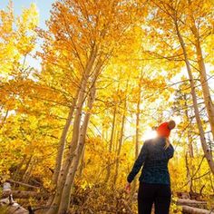 a woman walking through the woods with yellow leaves on her head and trees in the background