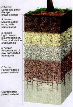 the layers of soil are labeled in different colors and sizes, including brown, green, yellow, and white