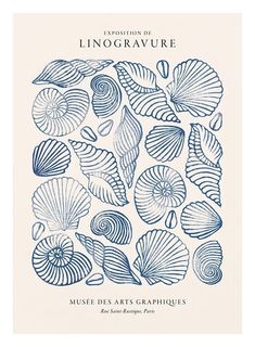 an illustration of seashells in blue ink on white paper with the words,'museum