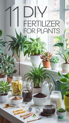 an assortment of house plants on a table with text overlay that reads, 11 diy fertilizer for plants