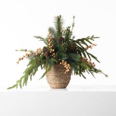 a potted plant with pine cones and berries