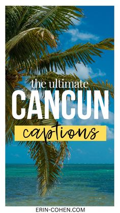 the ultimate guide to cancun vacations