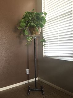 a potted plant sitting on top of a metal stand in front of a window