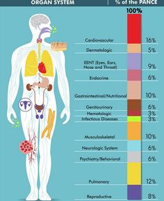 the organ system and its functions are shown in this diagram, as well as an image of