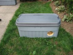 a large gray plastic box sitting on top of green grass next to a sidewalk and bushes