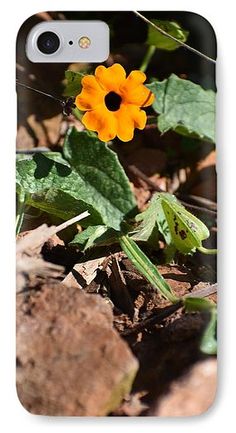 an orange flower sitting on the ground next to some rocks and leaves iphone case by panoramic images