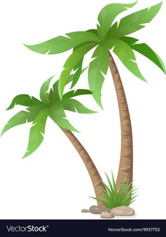 two palm trees with green leaves on a white background