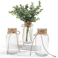 three glass jars with plants in them tied together