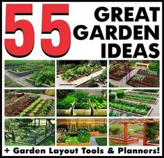 Looking for garden layout ideasHere we have a total of 55 great ideas to show you different layouts and positioningMany of these gardens can be used Fruit Garden Layout, Gardening Layout, Low Maintenance Garden Design, Backyard Gardens, Backyard Garden Layout, Backyard Gardening, Planting Plan, Garden Design Layout