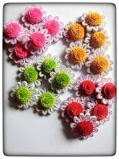 several different colored flowers on a white surface