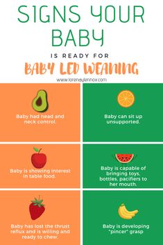 the signs your baby is ready for baby led weaning info sheet with fruits and vegetables