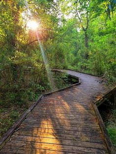 a wooden walkway in the middle of a forest with sunbeams shining down on it