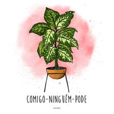 a potted plant with the words commo - ningjem - pode on it