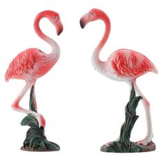 two pink flamingos standing next to each other