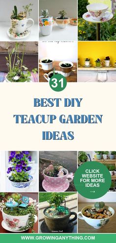 the top ten best diy teacup garden ideas with pictures of potted plants