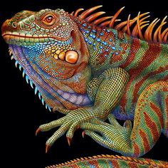 an iguana is painted in bright colors on a black background with orange and blue accents