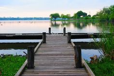 a wooden dock sitting on top of a lush green field