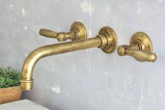 two brass colored faucets on the wall next to a potted green plant