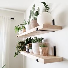 two wooden shelves with plants and potted plants on them in front of a white wall