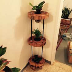 three tiered wooden plant stand with plants in it on the floor next to a door