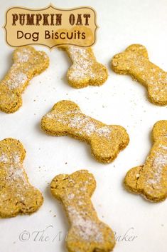 pumpkin oat dog biscuits on a white surface with the words, pumpkin oat dog biscuits