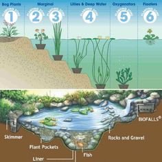 the water cycle is shown in two separate sections, with different levels and stages to be used