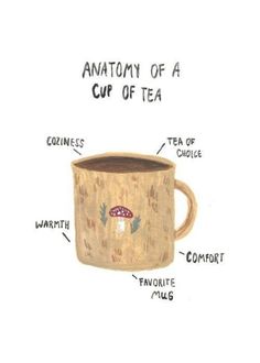 an anatomy of a cup of tea