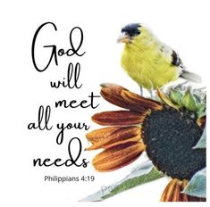 a bird sitting on top of a sunflower with a bible verse below it that says, god will meet all your needs