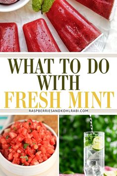 what to do with fresh mints, watermelon and lemonade in the summer