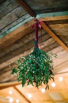 a bunch of green plants hanging from a wooden ceiling with lights in the back ground