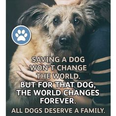 a woman holding a dog with a quote about saving a dog won't change the world but for that dog, the world changes forever