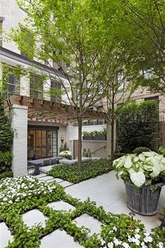 an outdoor courtyard with plants and trees